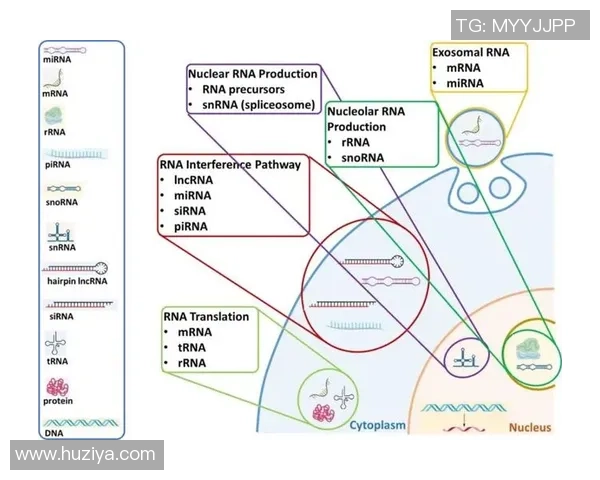 广州排球队进攻革新之路探索与实践的深度分析与展望 广州排球队进攻革新之路探索与实践的深度分析与展望